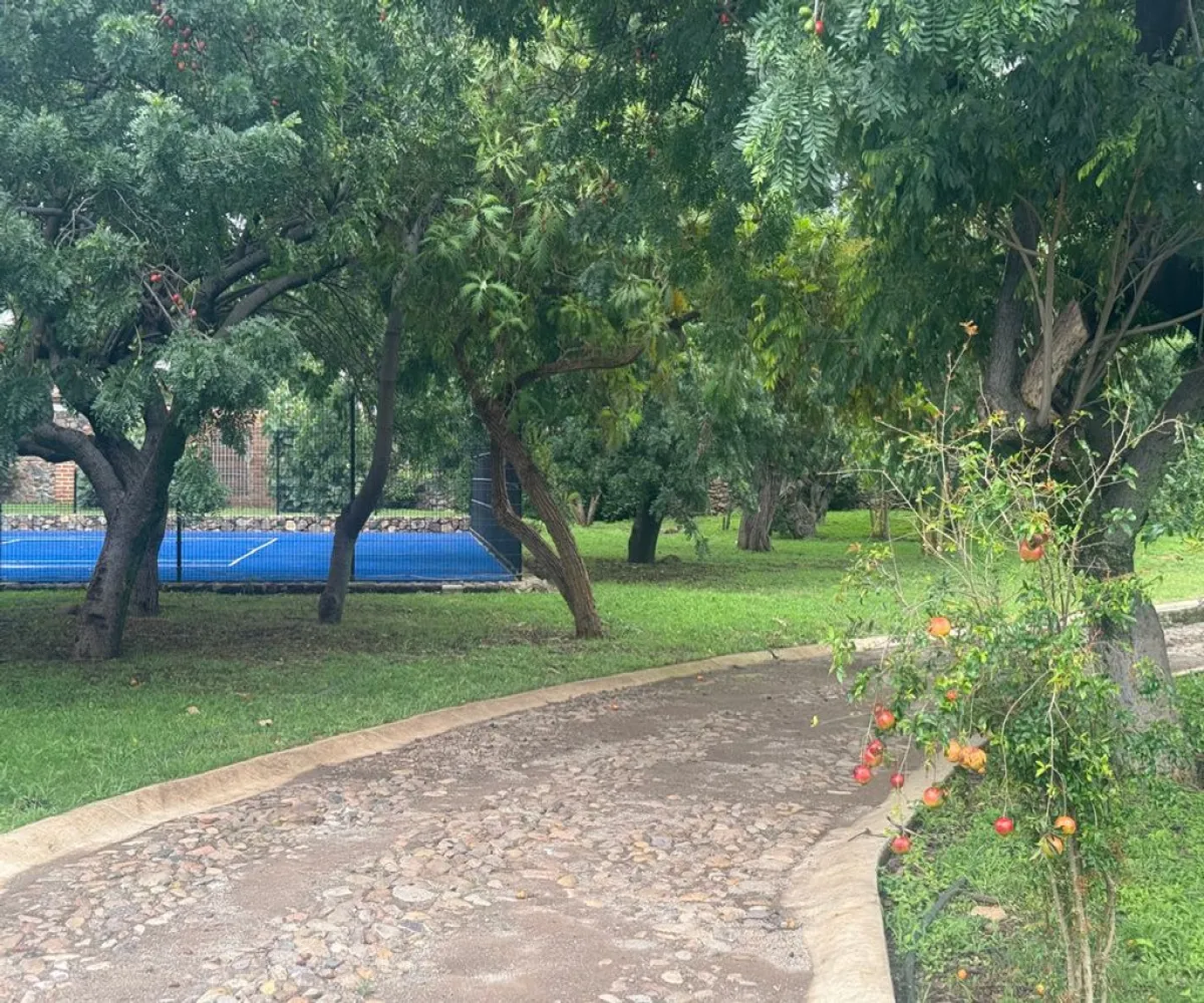Terreno En Venta,Corona con Allende 00, Jocotepec, Jalisco 45800,Corona con Allende,pTkQ3B9 Terreno En Venta,Corona con Allende 00, Jocotepec, Jalisco 45800,Corona con Allende,pTkQ3B9