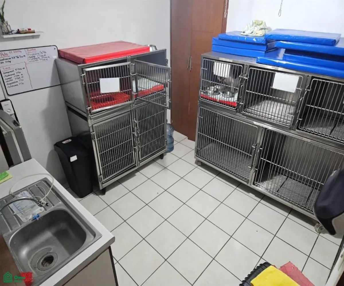 Departamento En Venta,Jardines de La Cruz 1a. Sección,Isla Cozumel 2828, Guadalajara, Jalisco 44950, 4 Habitaciones,2 Baños,Isla Cozumel,2,MX251001743 Departamento En Venta,Jardines de La Cruz 1a. Sección,Isla Cozumel 2828, Guadalajara, Jalisco 44950, 4 Habitaciones,2 Baños,Isla Cozumel,2,MX251001743