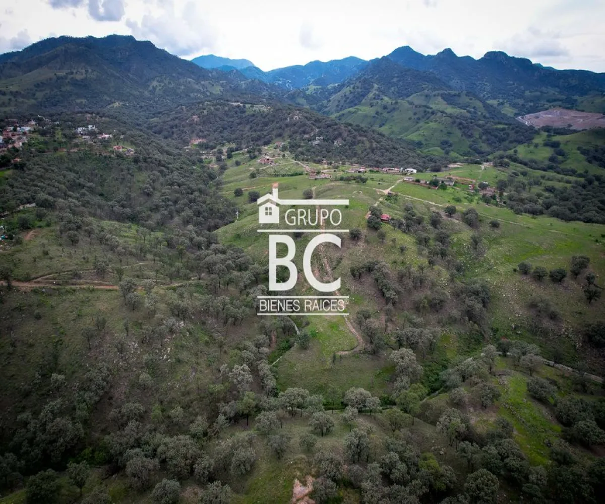 Terreno En Venta,Lomas de Montechelo (Pedregal),Carretera a Colotlán km 13.5, Zapopan, Jalisco 45189,Carretera a Colotlán ,pSQKYBV