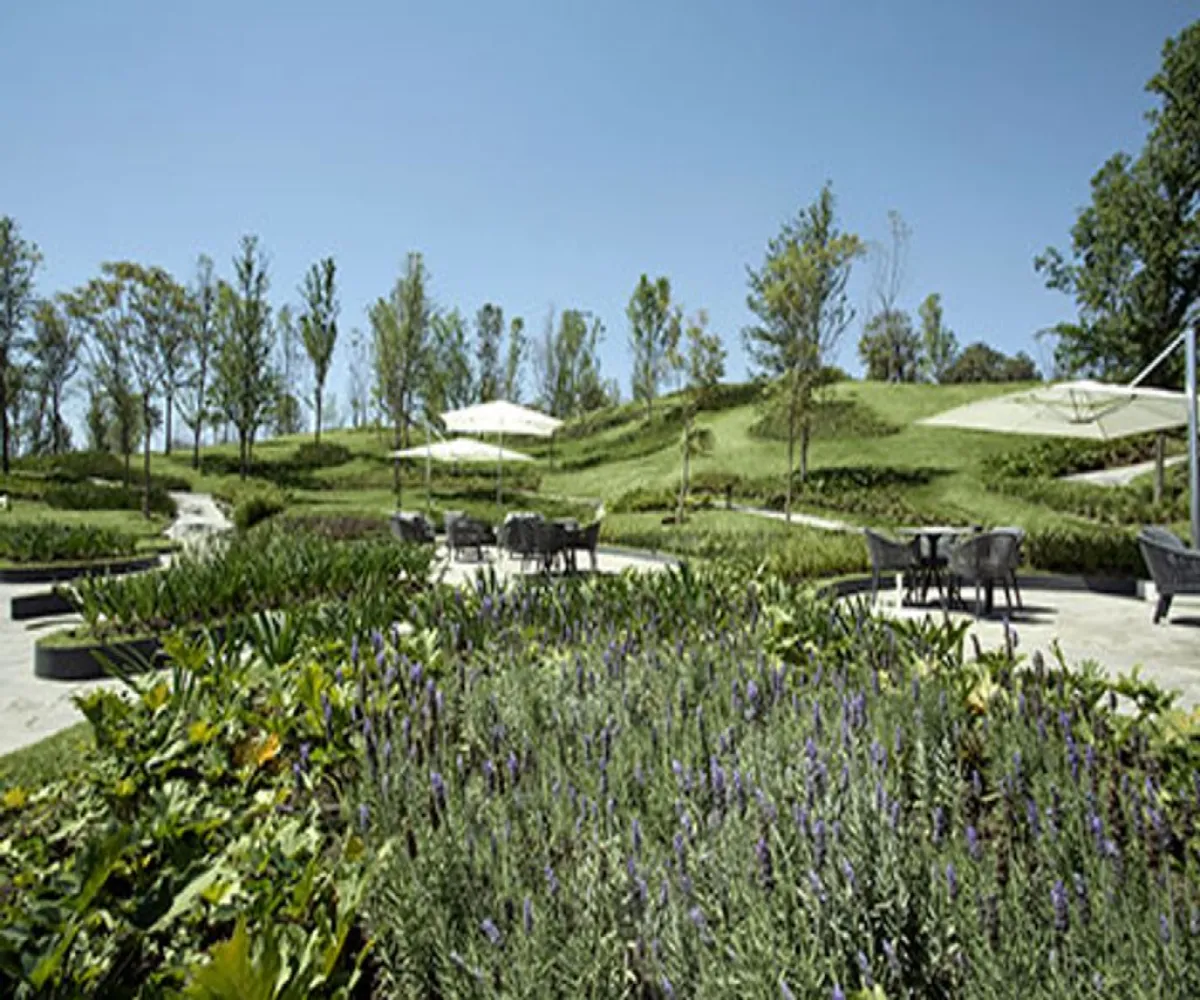 Departamento En Renta,Puerta Plata,Avenida Universidad 1000, Zapopan, Jalisco 45110, 2 Habitaciones,2 Baños,Avenida Universidad,1,ppskeJJ