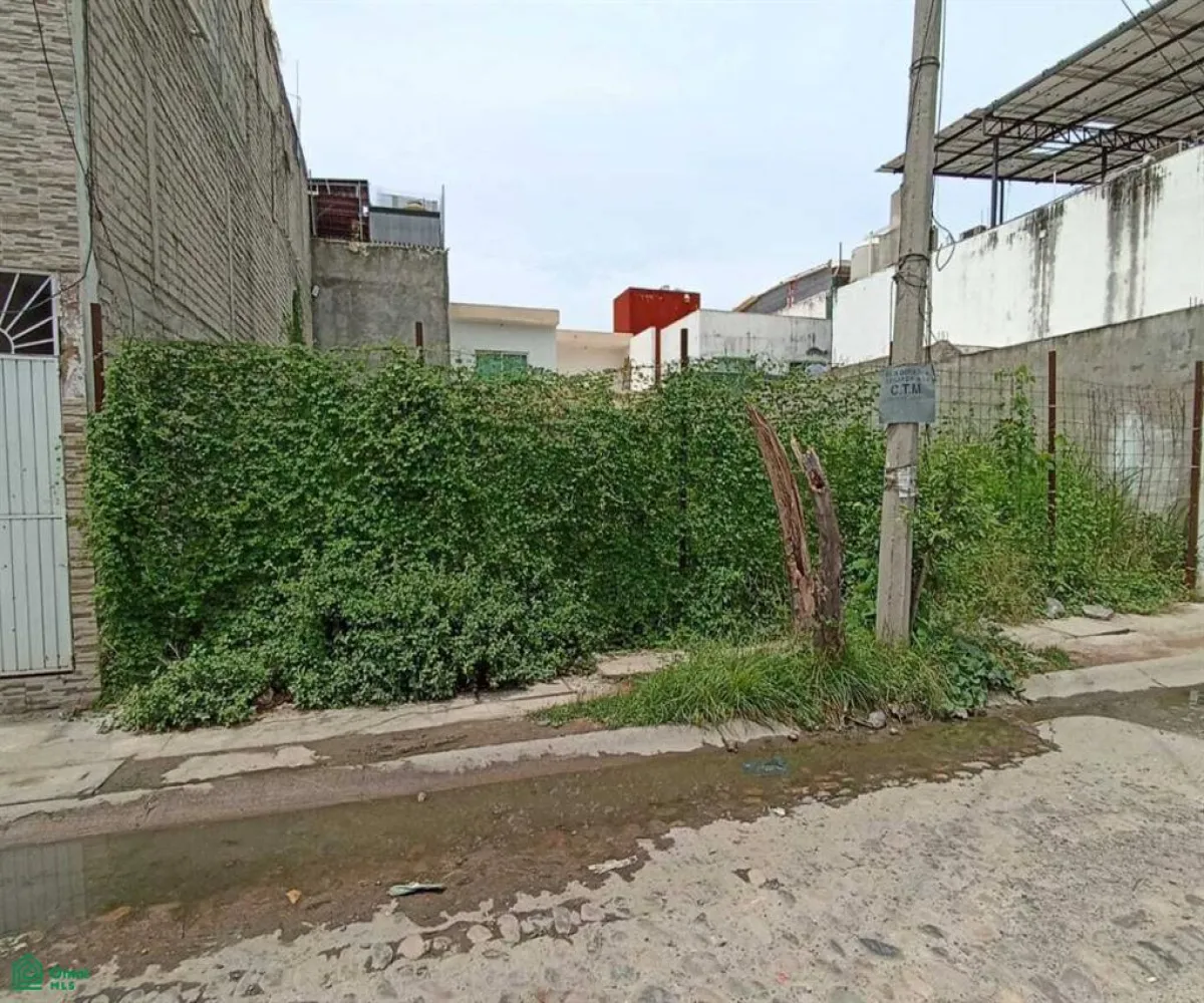 Terreno En Venta,Albatros,arboledas lote 31 y 32, Puerto Vallarta, Jalisco 48315,arboledas,MX251010876
