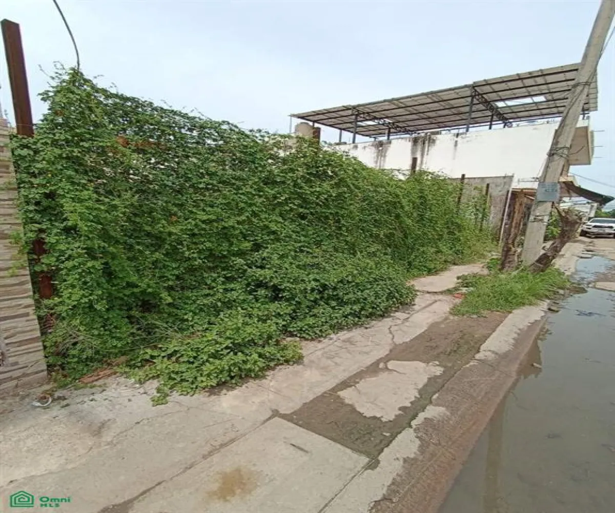 Terreno En Venta,Albatros,arboledas lote 31 y 32, Puerto Vallarta, Jalisco 48315,arboledas,MX251010876