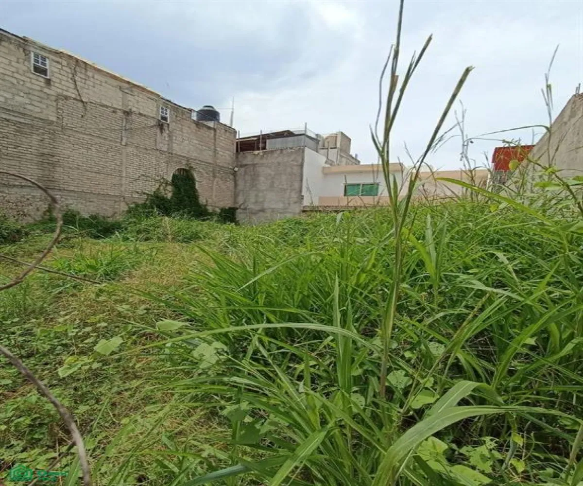 Terreno En Venta,Albatros,arboledas lote 31 y 32, Puerto Vallarta, Jalisco 48315,arboledas,MX251010876