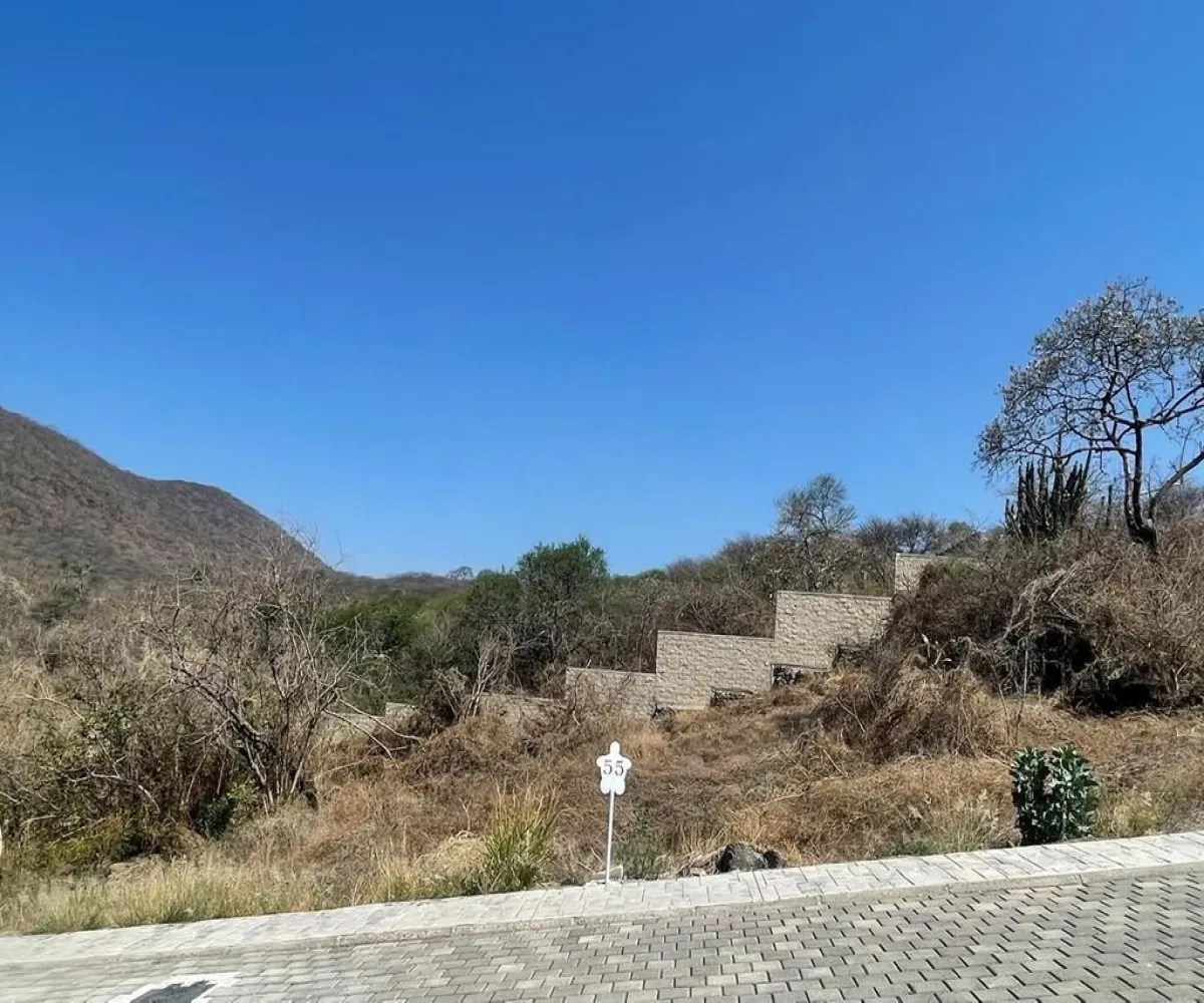 Terreno En Venta,Turtle Lake,Avenida Vicente Ruiz S/N, Villa Corona, Jalisco 45730,Avenida Vicente Ruiz ,p8sV0X5