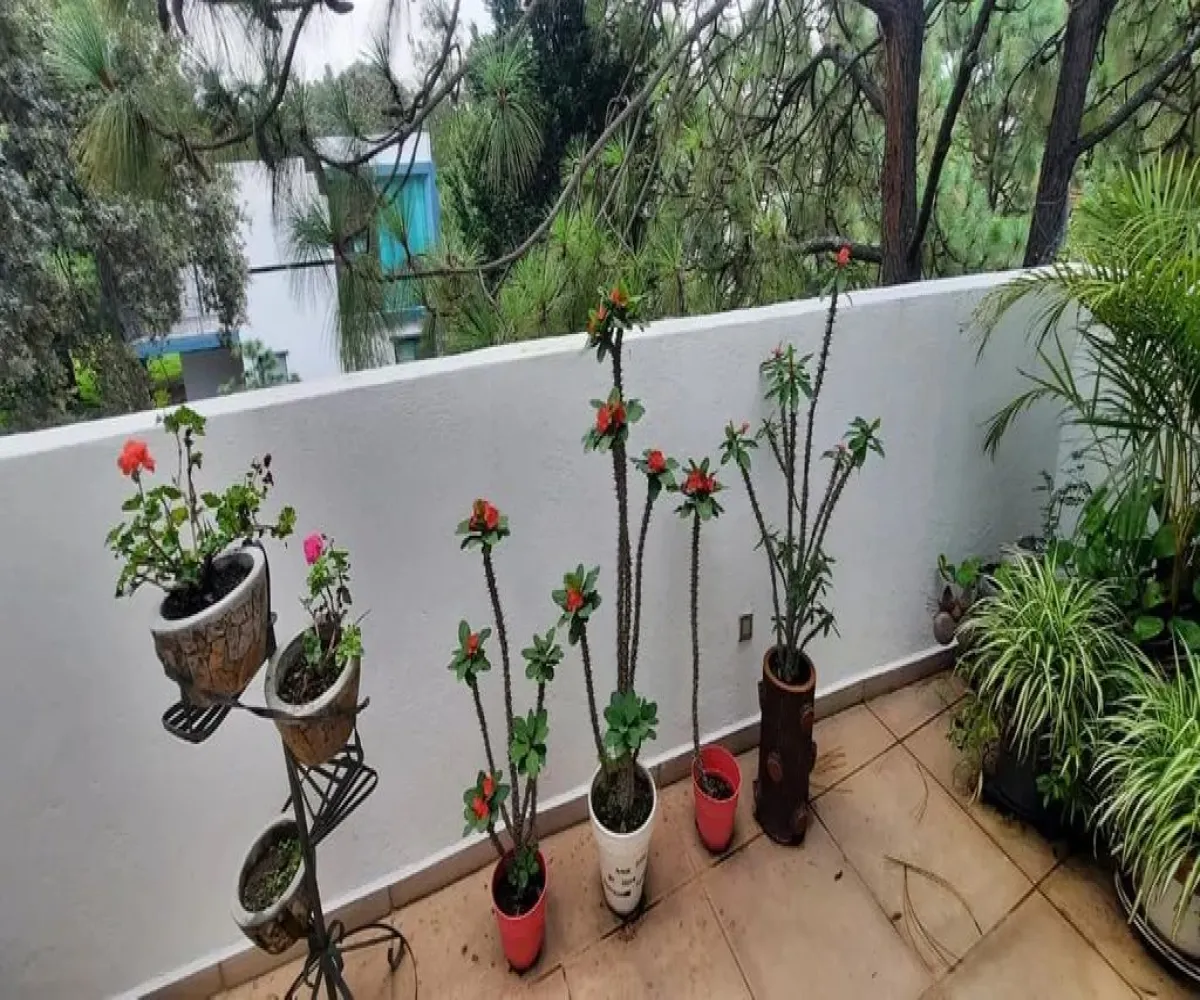 Casa En Venta,El Cielo Country Club,Paseo del Palomar 230 F, Tlajomulco de Zúñiga, Jalisco 45643, 3 Habitaciones,3 Baños,Paseo del Palomar,1,pLQofuG