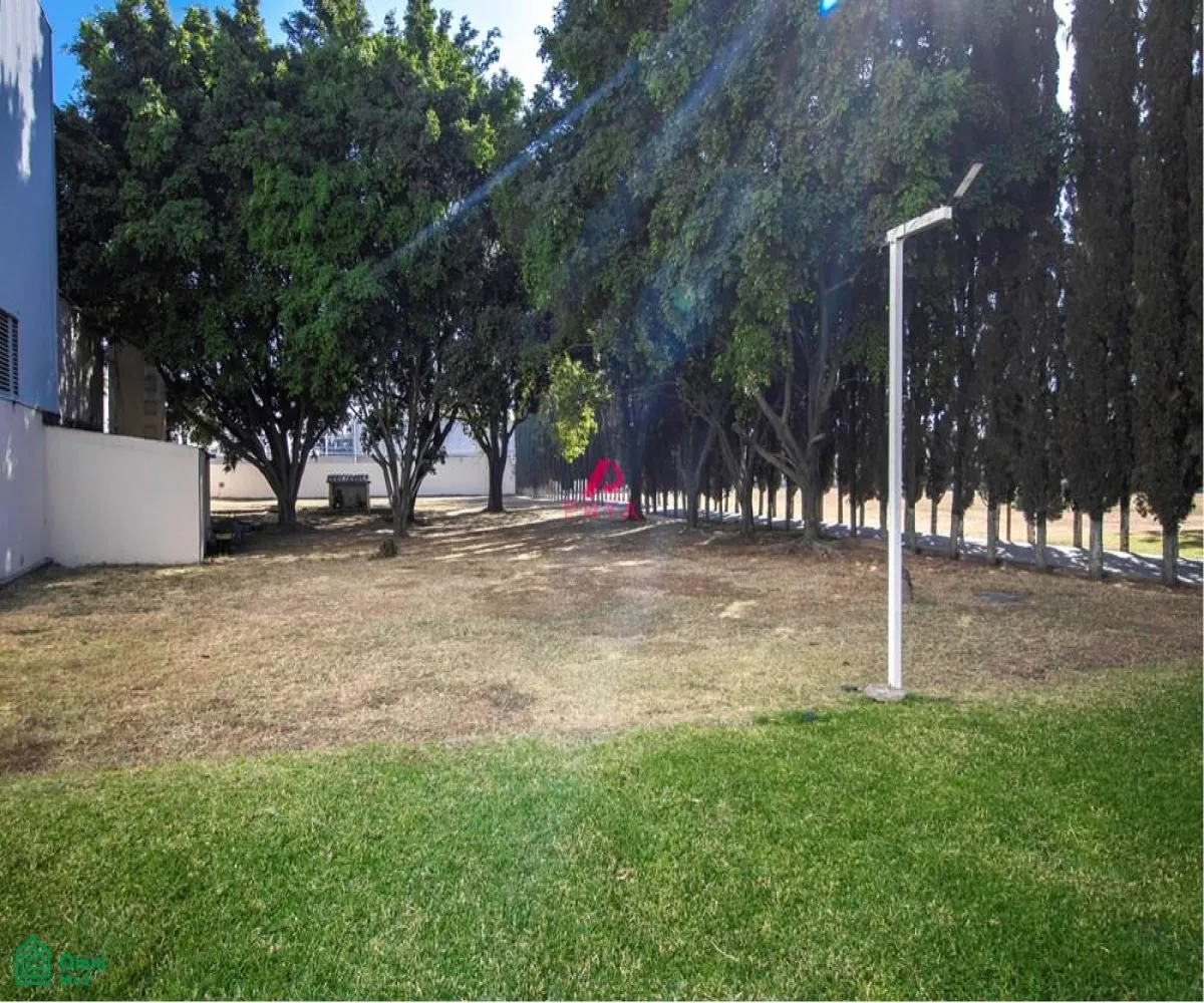 Terreno En Renta,La Palmira,MIGUEL ALEMAN S/N, Zapopan, Jalisco 45234,MIGUEL ALEMAN,MX25996153