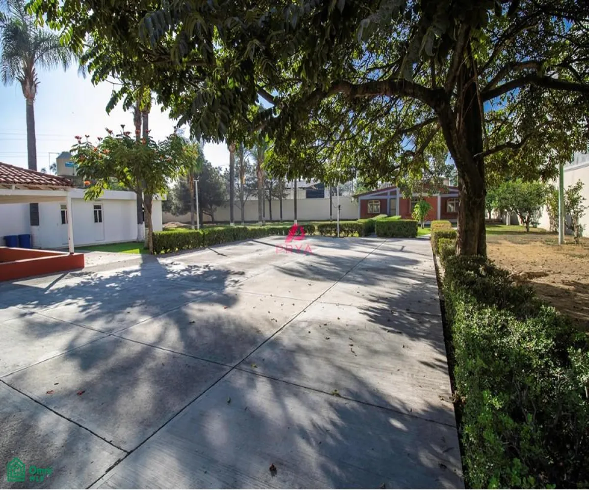 Terreno En Renta,La Palmira,MIGUEL ALEMAN S/N, Zapopan, Jalisco 45234,MIGUEL ALEMAN,MX25996153