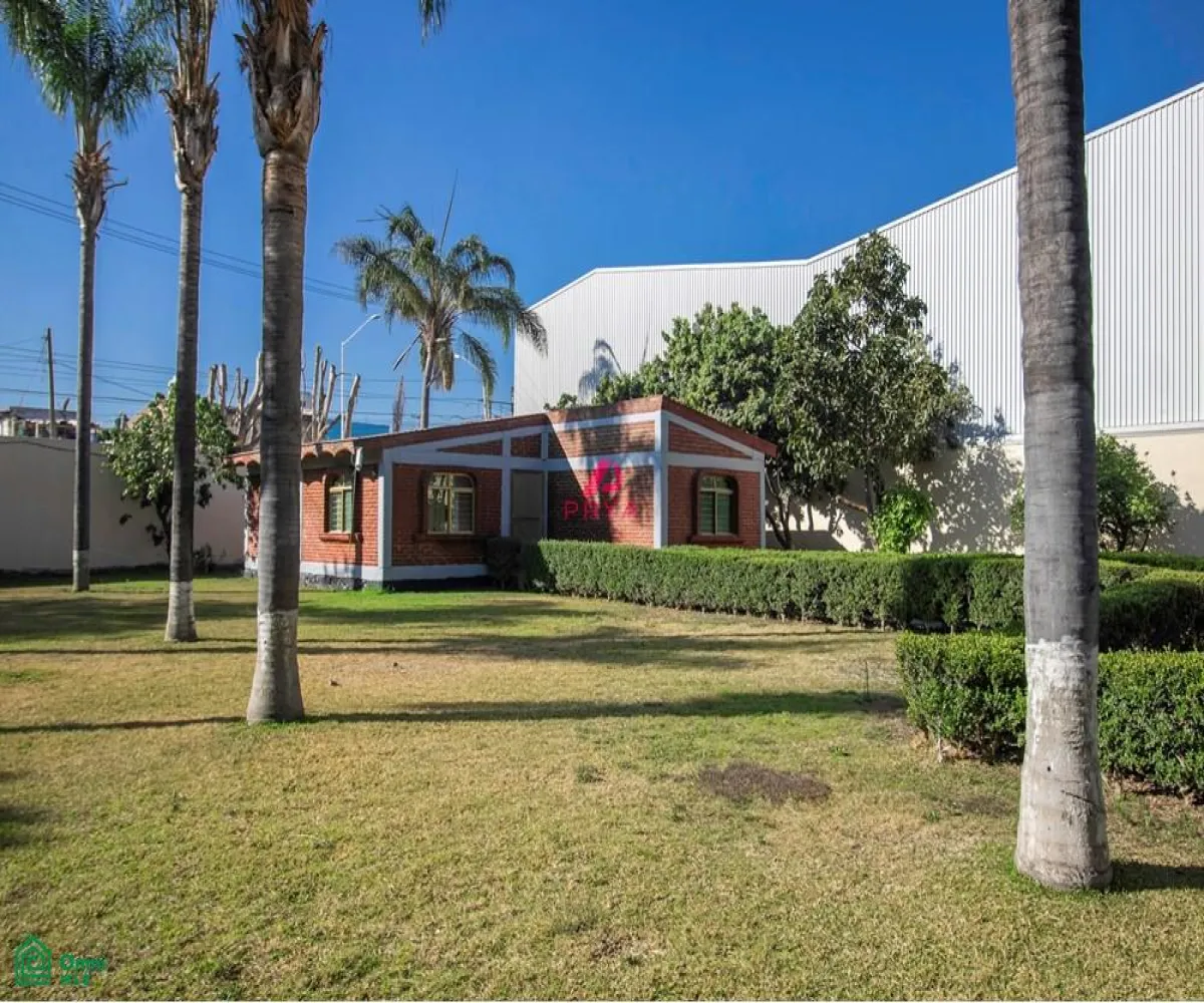 Terreno En Renta,La Palmira,MIGUEL ALEMAN S/N, Zapopan, Jalisco 45234,MIGUEL ALEMAN,MX25996153