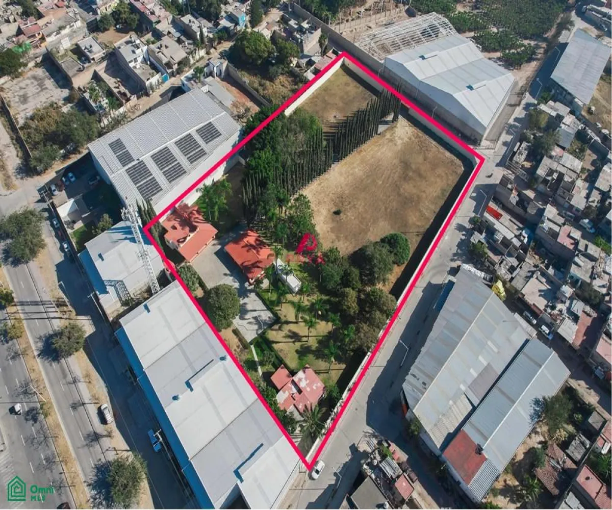 Terreno En Renta,La Palmira,MIGUEL ALEMAN S/N, Zapopan, Jalisco 45234,MIGUEL ALEMAN,MX25996153