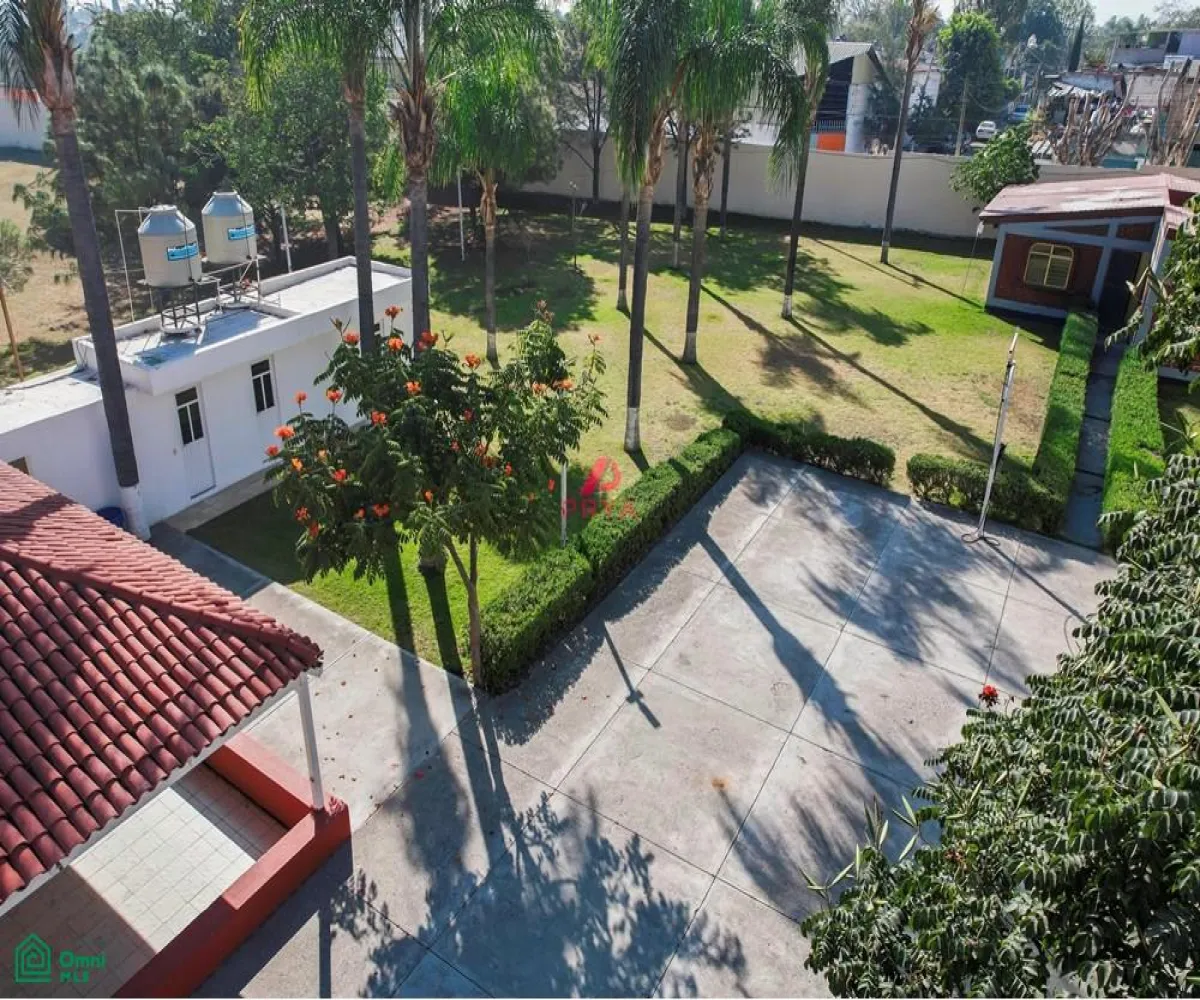 Terreno En Renta,La Palmira,MIGUEL ALEMAN S/N, Zapopan, Jalisco 45234,MIGUEL ALEMAN,MX25996153