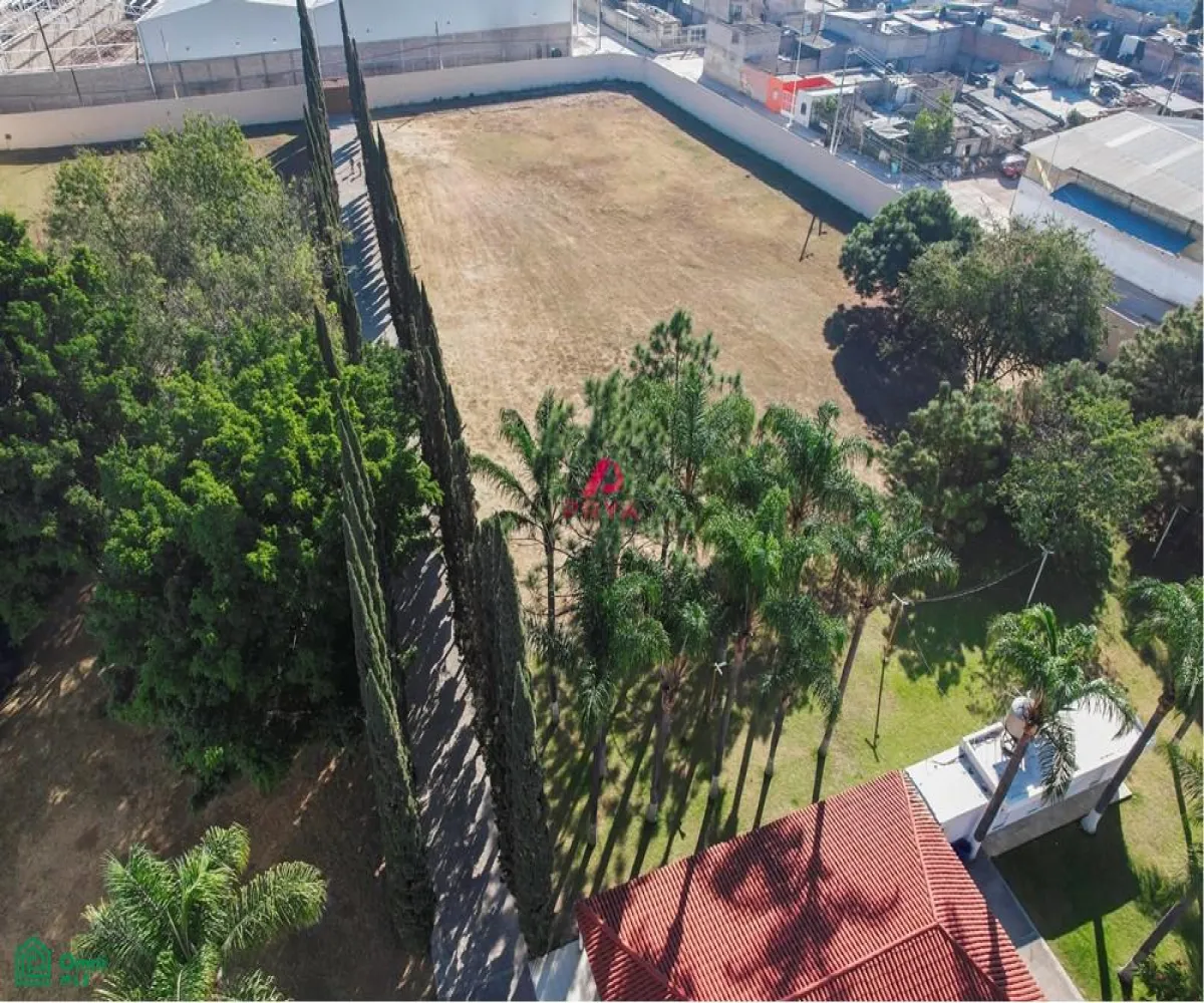Terreno En Renta,La Palmira,MIGUEL ALEMAN S/N, Zapopan, Jalisco 45234,MIGUEL ALEMAN,MX25996153