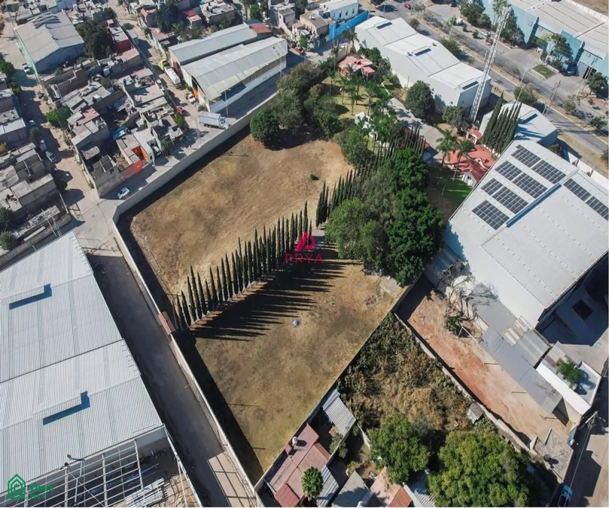 Terreno En Renta,La Palmira,MIGUEL ALEMAN S/N, Zapopan, Jalisco 45234,MIGUEL ALEMAN,MX25996153