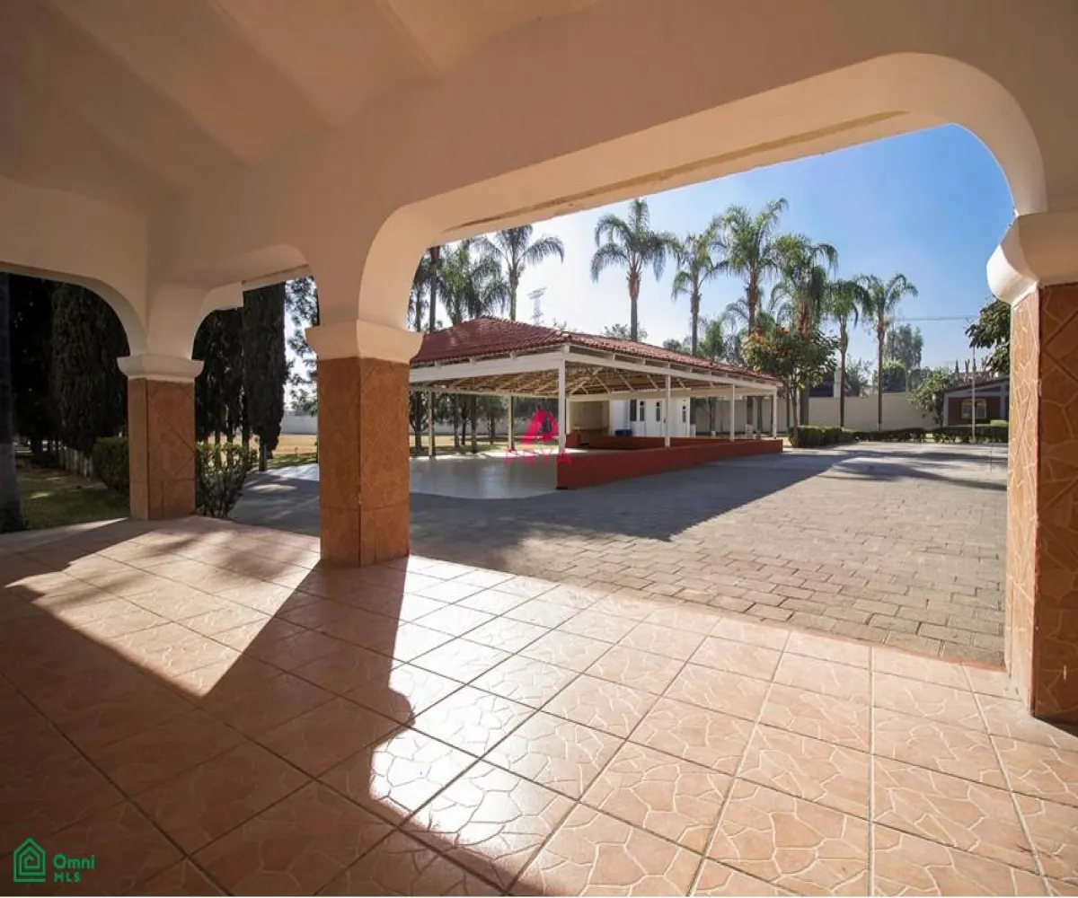 Terreno En Renta,La Palmira,MIGUEL ALEMAN S/N, Zapopan, Jalisco 45234,MIGUEL ALEMAN,MX25996153