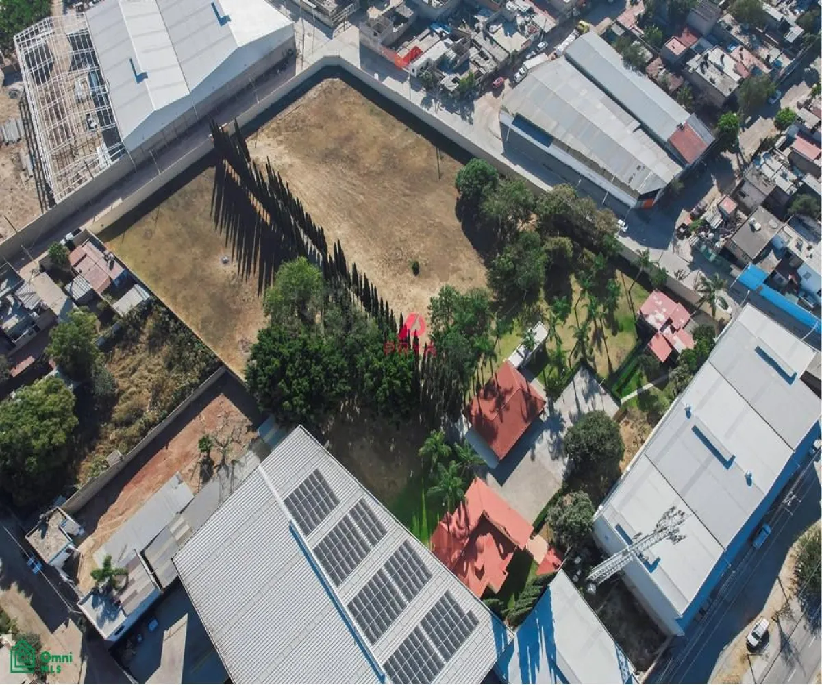 Terreno En Renta,La Palmira,MIGUEL ALEMAN S/N, Zapopan, Jalisco 45234,MIGUEL ALEMAN,MX25996153