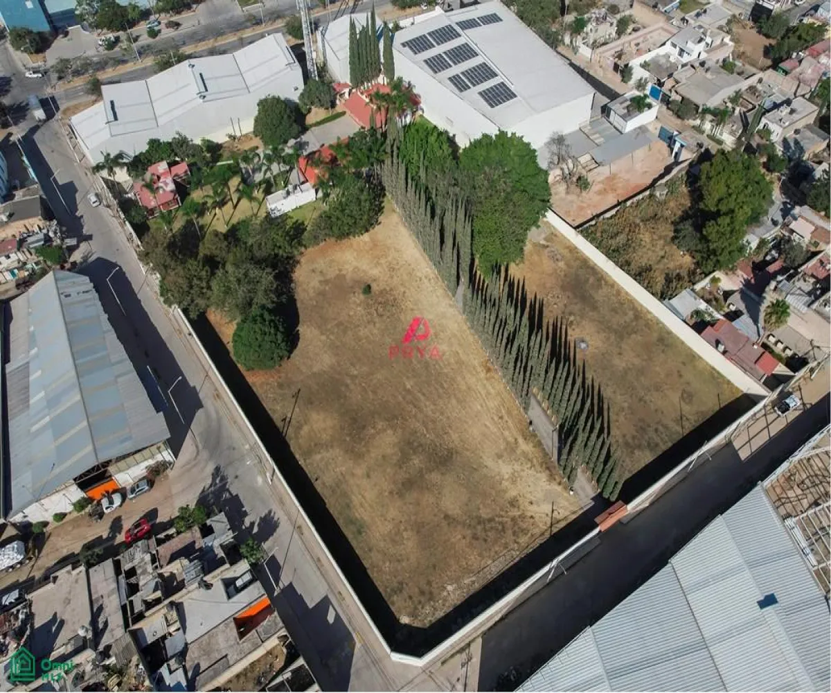 Terreno En Renta,La Palmira,MIGUEL ALEMAN S/N, Zapopan, Jalisco 45234,MIGUEL ALEMAN,MX25996153