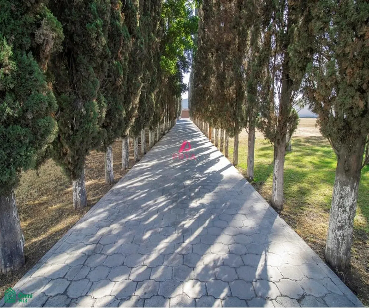 Terreno En Renta,La Palmira,MIGUEL ALEMAN S/N, Zapopan, Jalisco 45234,MIGUEL ALEMAN,MX25996153