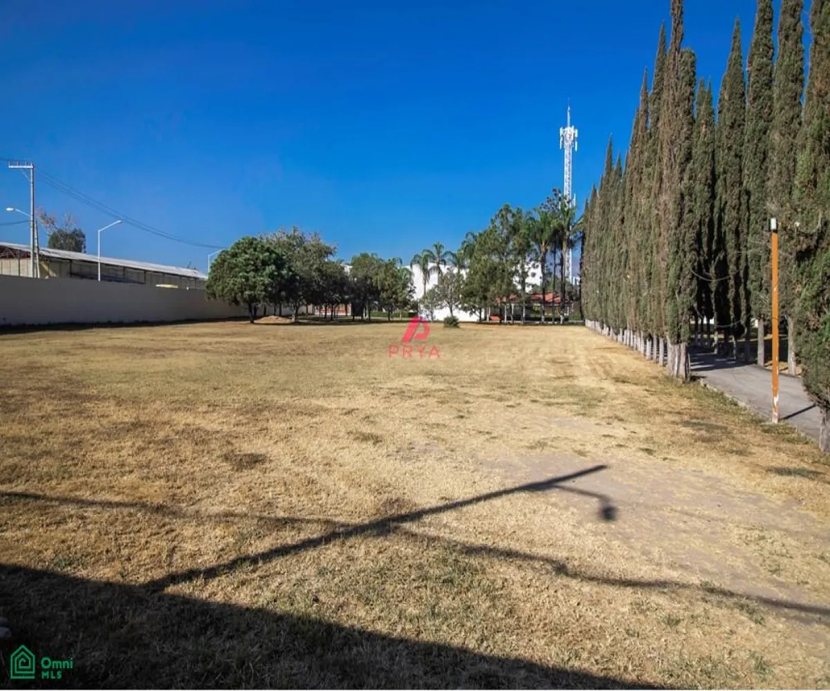 Terreno En Renta,La Palmira,MIGUEL ALEMAN S/N, Zapopan, Jalisco 45234,MIGUEL ALEMAN,MX25996153