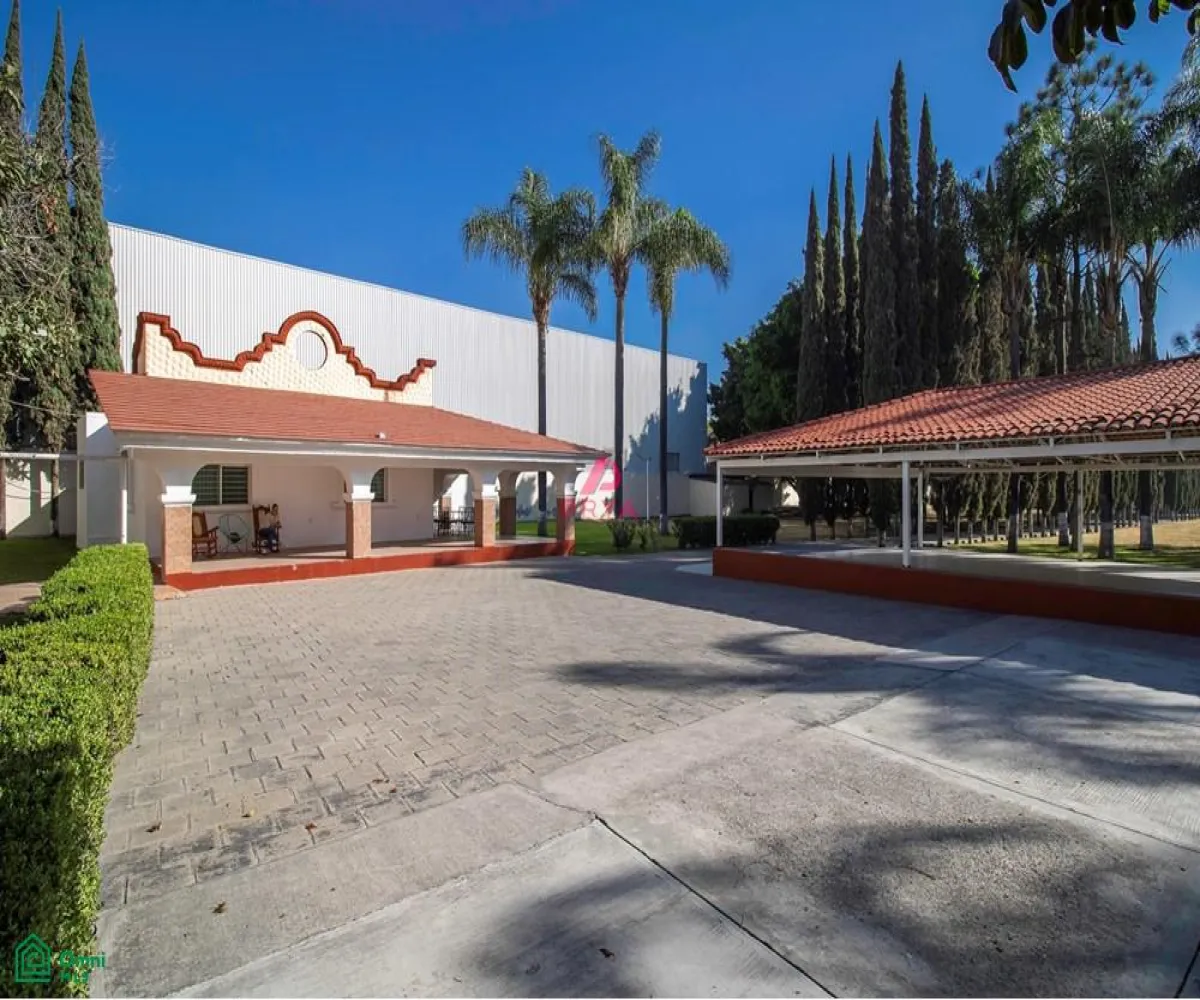 Terreno En Renta,La Palmira,MIGUEL ALEMAN S/N, Zapopan, Jalisco 45234,MIGUEL ALEMAN,MX25996153