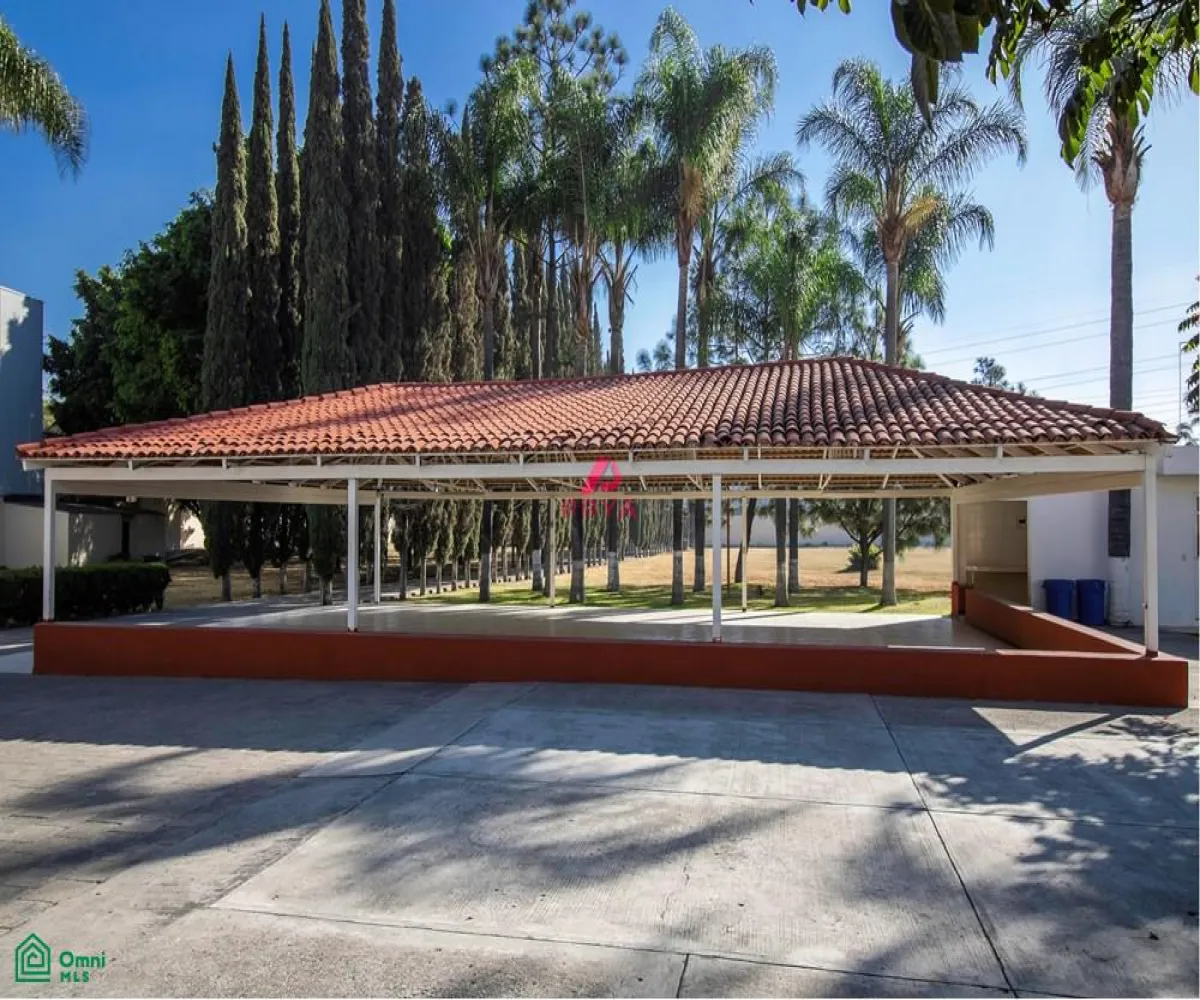 Terreno En Renta,La Palmira,MIGUEL ALEMAN S/N, Zapopan, Jalisco 45234,MIGUEL ALEMAN,MX25996153