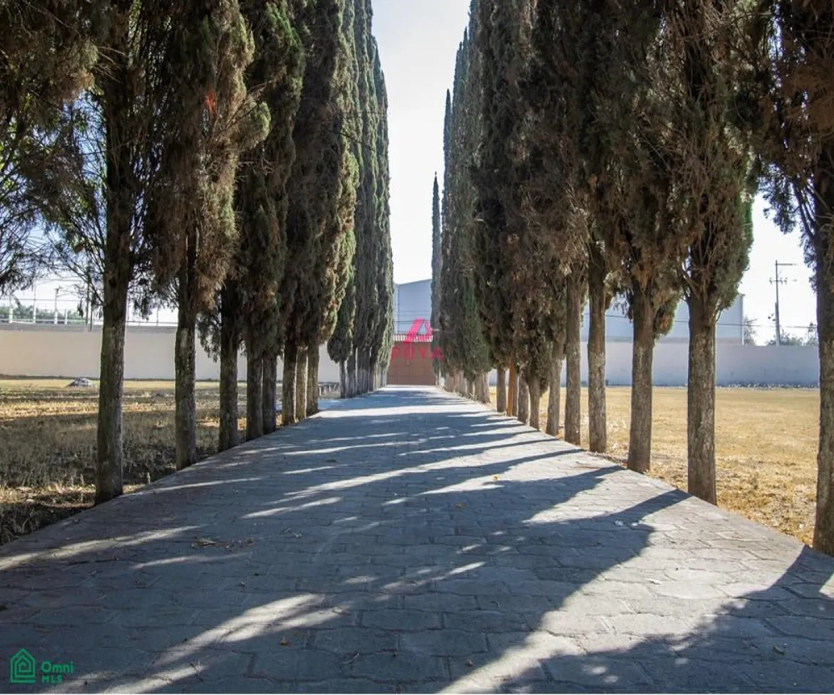 Terreno En Renta,La Palmira,MIGUEL ALEMAN S/N, Zapopan, Jalisco 45234,MIGUEL ALEMAN,MX25996153