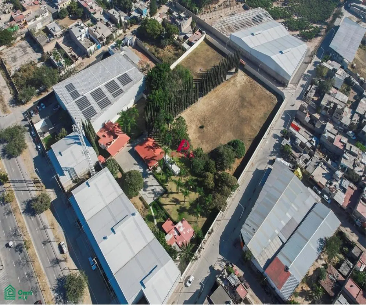 Terreno En Renta,La Palmira,MIGUEL ALEMAN S/N, Zapopan, Jalisco 45234,MIGUEL ALEMAN,MX25996153