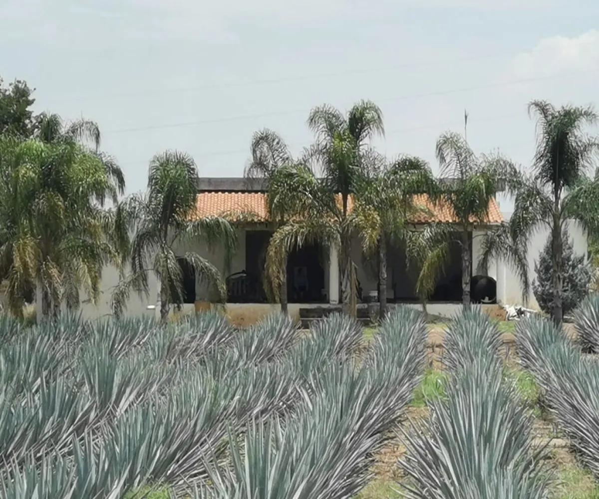 Terreno En Venta,El Arenal,Sobre Carretera Kilometro 33 kilometro 33, El Arenal, Jalisco 45350, 5 Habitaciones,5 Baños,Sobre Carretera Kilometro 33,1,p8NJrMv