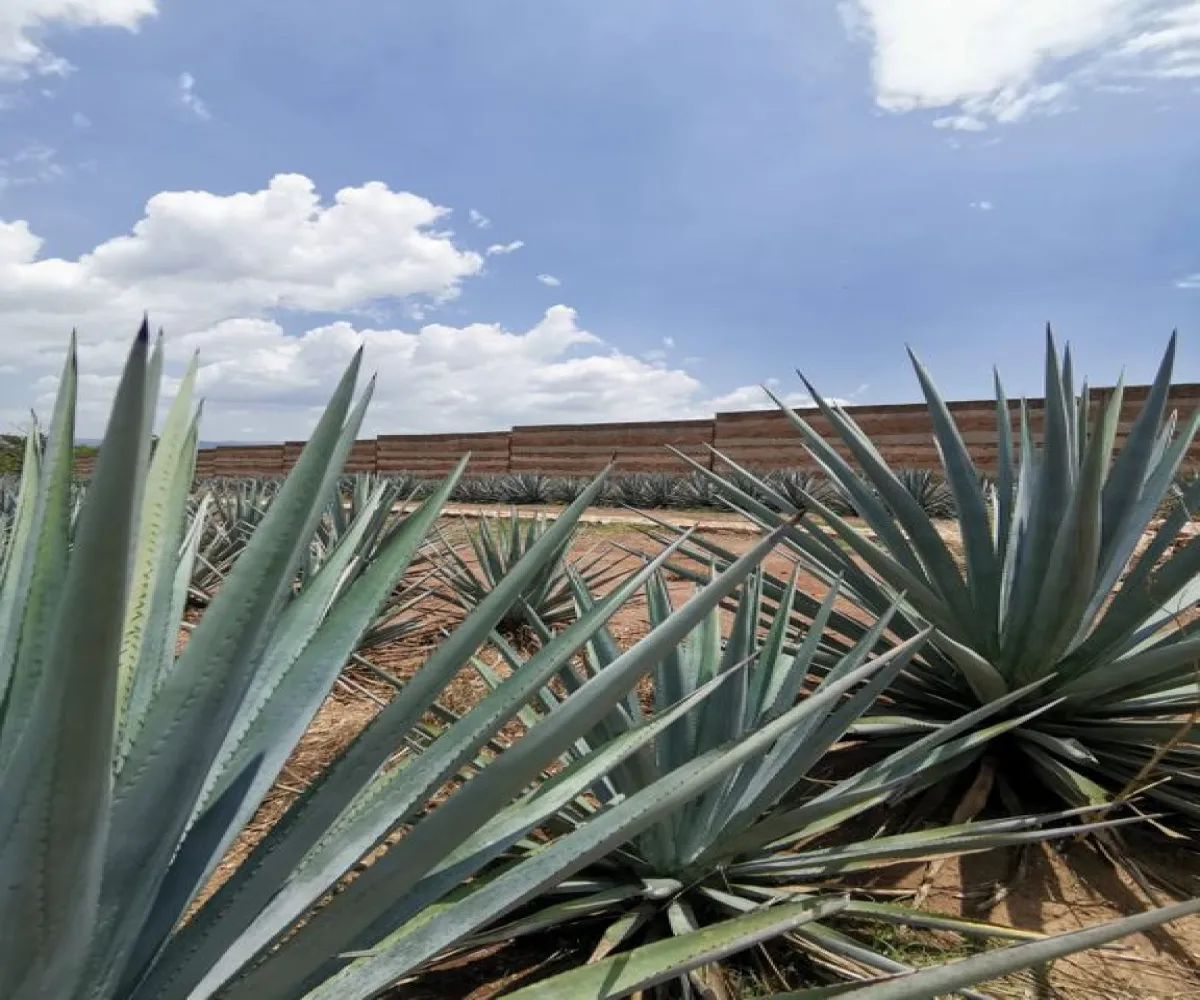 Terreno En Venta,El Arenal,Sobre Carretera Kilometro 33 kilometro 33, El Arenal, Jalisco 45350, 5 Habitaciones,5 Baños,Sobre Carretera Kilometro 33,1,p8NJrMv