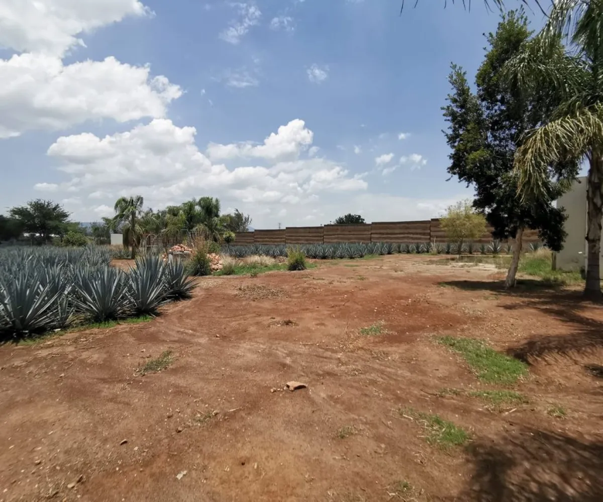 Terreno En Venta,El Arenal,Sobre Carretera Kilometro 33 kilometro 33, El Arenal, Jalisco 45350, 5 Habitaciones,5 Baños,Sobre Carretera Kilometro 33,1,p8NJrMv