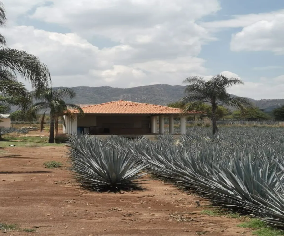 Terreno En Venta,El Arenal,Sobre Carretera Kilometro 33 kilometro 33, El Arenal, Jalisco 45350, 5 Habitaciones,5 Baños,Sobre Carretera Kilometro 33,1,p8NJrMv