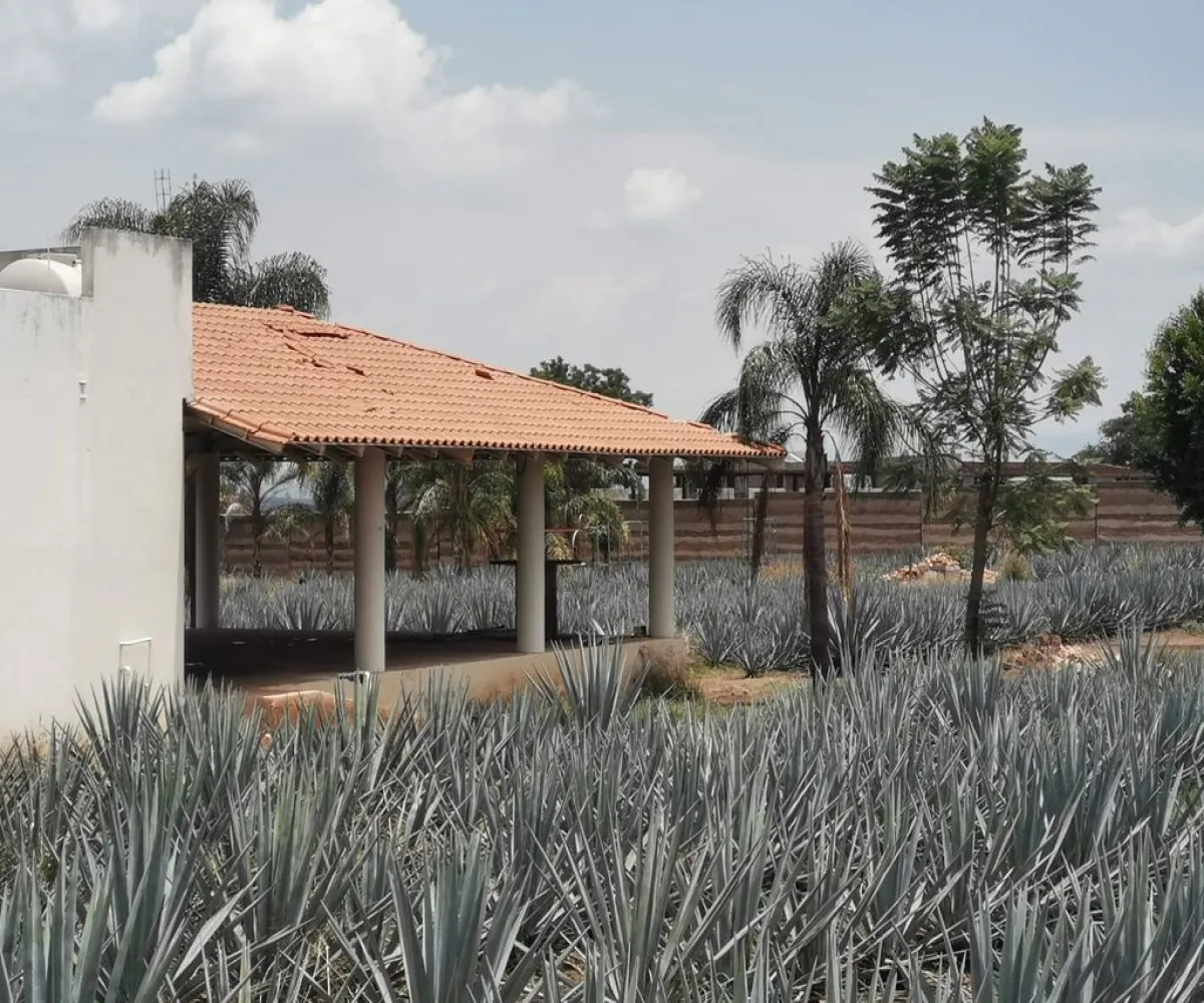 Terreno En Venta,El Arenal,Sobre Carretera Kilometro 33 kilometro 33, El Arenal, Jalisco 45350, 5 Habitaciones,5 Baños,Sobre Carretera Kilometro 33,1,p8NJrMv