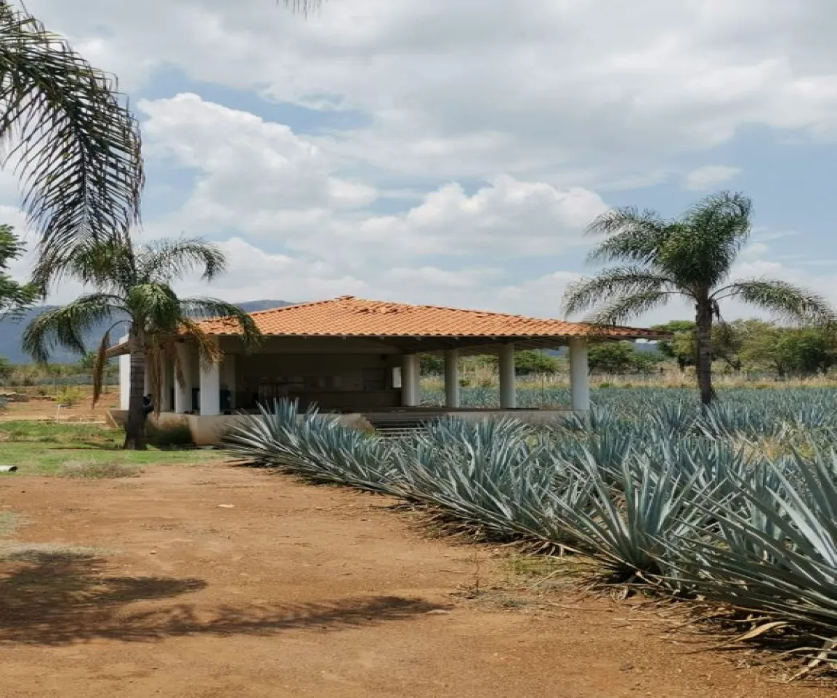 Terreno En Venta,El Arenal,Sobre Carretera Kilometro 33 kilometro 33, El Arenal, Jalisco 45350, 5 Habitaciones,5 Baños,Sobre Carretera Kilometro 33,1,p8NJrMv