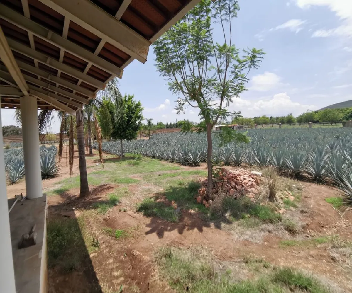 Terreno En Venta,El Arenal,Sobre Carretera Kilometro 33 kilometro 33, El Arenal, Jalisco 45350, 5 Habitaciones,5 Baños,Sobre Carretera Kilometro 33,1,p8NJrMv