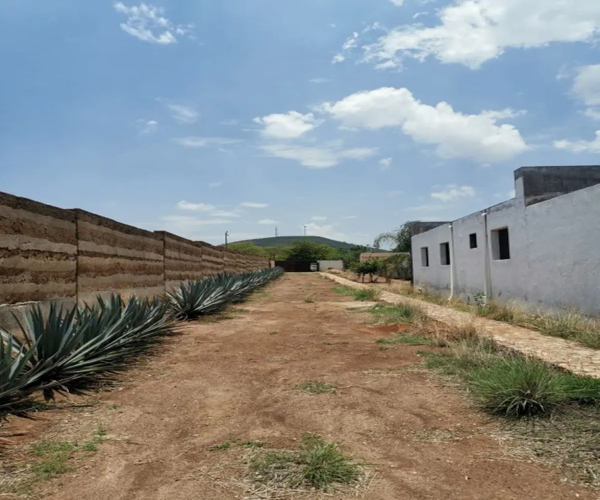 Terreno En Venta,El Arenal,Sobre Carretera Kilometro 33 kilometro 33, El Arenal, Jalisco 45350, 5 Habitaciones,5 Baños,Sobre Carretera Kilometro 33,1,p8NJrMv