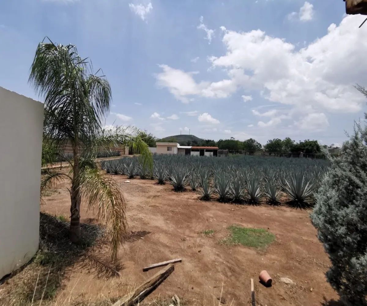 Terreno En Venta,El Arenal,Sobre Carretera Kilometro 33 kilometro 33, El Arenal, Jalisco 45350, 5 Habitaciones,5 Baños,Sobre Carretera Kilometro 33,1,p8NJrMv