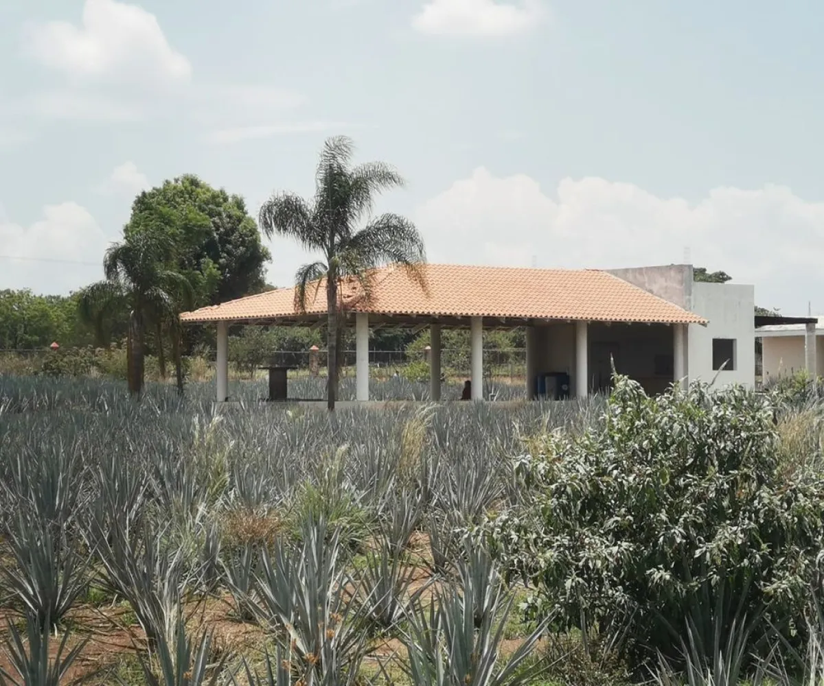 Terreno En Venta,El Arenal,Sobre Carretera Kilometro 33 kilometro 33, El Arenal, Jalisco 45350, 5 Habitaciones,5 Baños,Sobre Carretera Kilometro 33,1,p8NJrMv