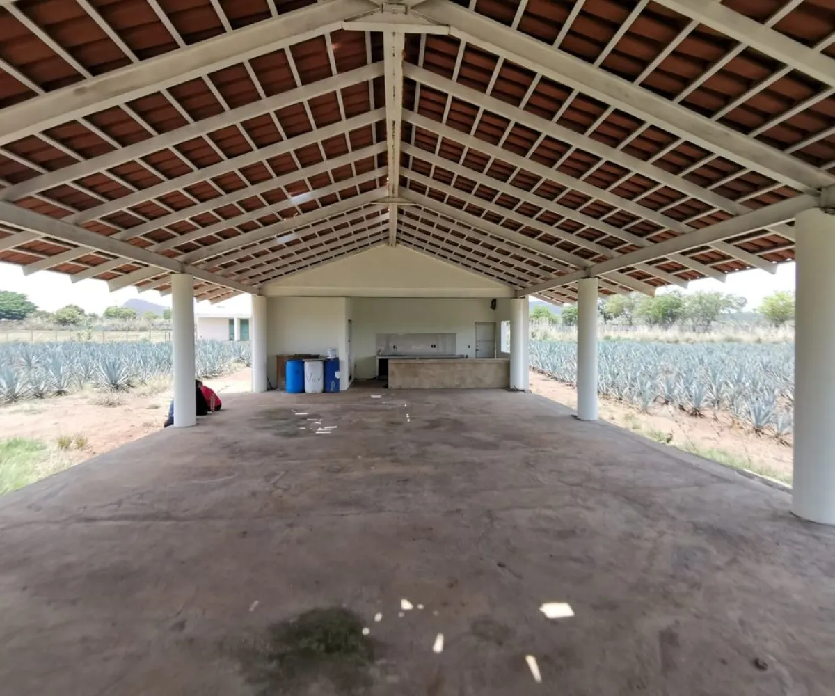 Terreno En Venta,El Arenal,Sobre Carretera Kilometro 33 kilometro 33, El Arenal, Jalisco 45350, 5 Habitaciones,5 Baños,Sobre Carretera Kilometro 33,1,p8NJrMv