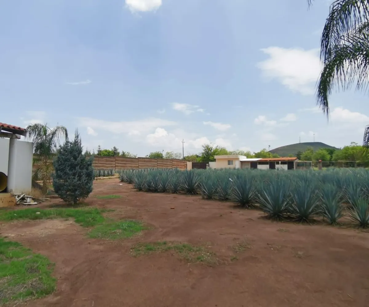 Terreno En Venta,El Arenal,Sobre Carretera Kilometro 33 kilometro 33, El Arenal, Jalisco 45350, 5 Habitaciones,5 Baños,Sobre Carretera Kilometro 33,1,p8NJrMv
