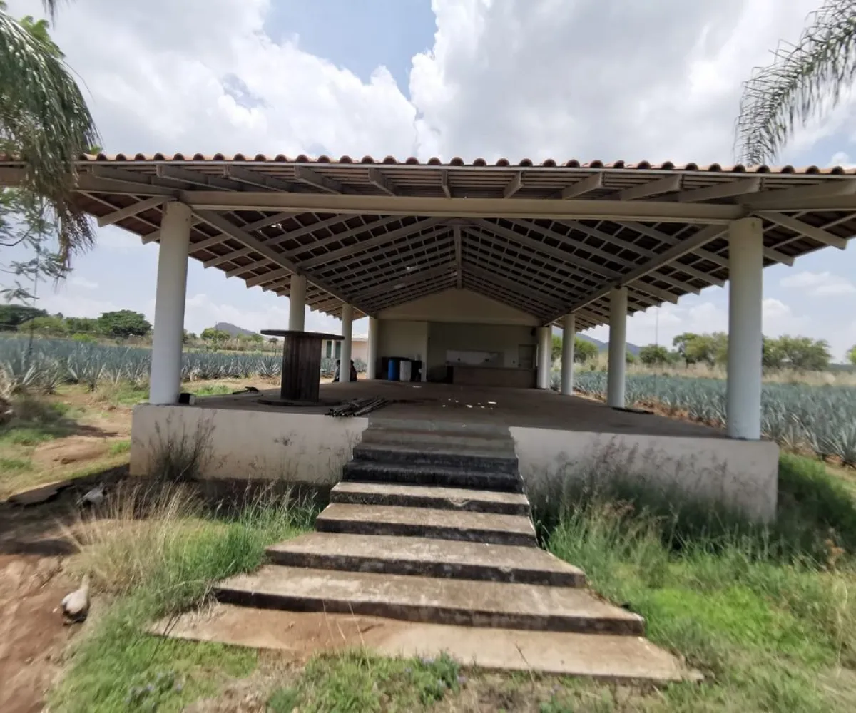 Terreno En Venta,El Arenal,Sobre Carretera Kilometro 33 kilometro 33, El Arenal, Jalisco 45350, 5 Habitaciones,5 Baños,Sobre Carretera Kilometro 33,1,p8NJrMv