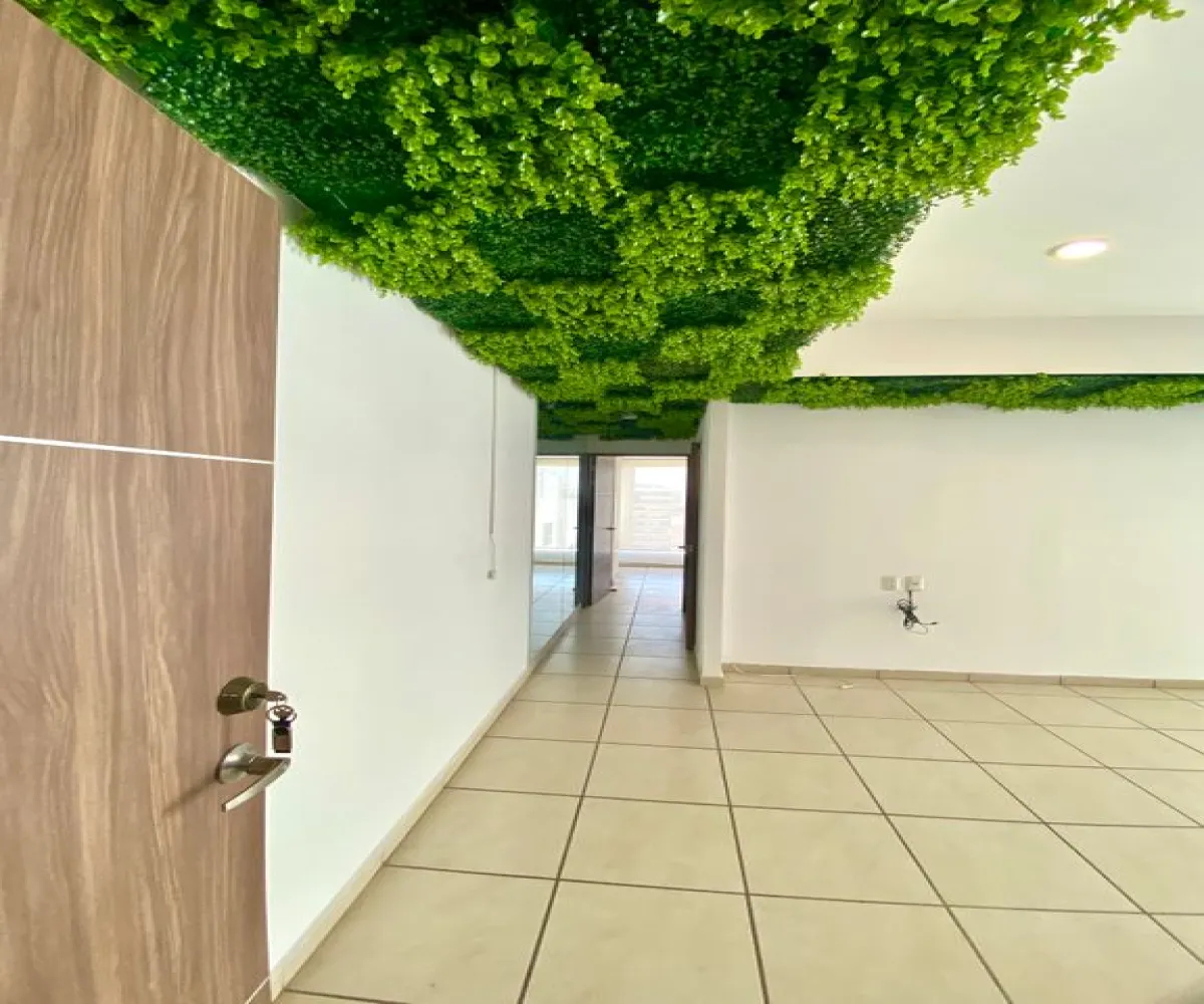 Departamento En Venta,Ladron De Guevara,Manuel M. Dieguez 900, Guadalajara, Jalisco 44600, 2 Habitaciones,2 Baños,Manuel M. Dieguez,12,pxcrwd2