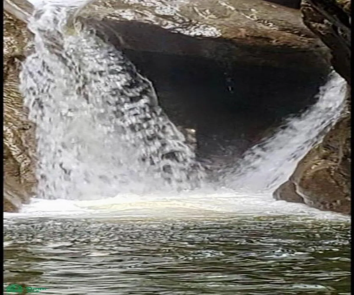 Terreno En Venta,Mismaloya,PALO MARIA FRACCION 2, Puerto Vallarta, Jalisco 48294,PALO MARIA,MX251014298