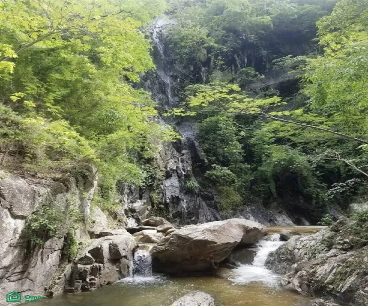 Terreno En Venta,Mismaloya,PALO MARIA FRACCION 2, Puerto Vallarta, Jalisco 48294,PALO MARIA,MX251014298