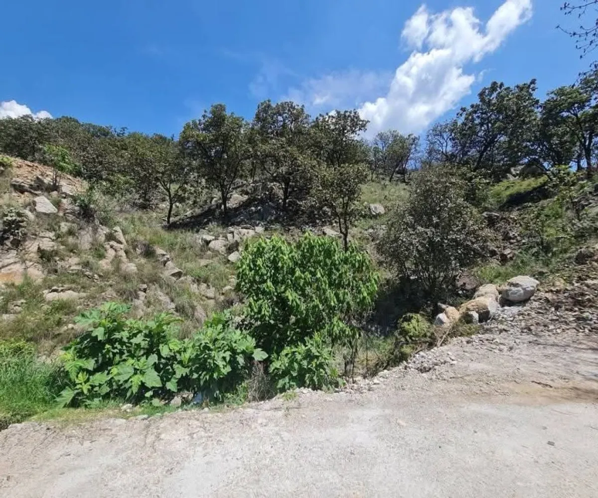 Terreno En Venta,CERRITO LOS PATIOS,LOS PATIOS LOTE 3, Zapopan, Jalisco 45200,LOS PATIOS,pKFStEu