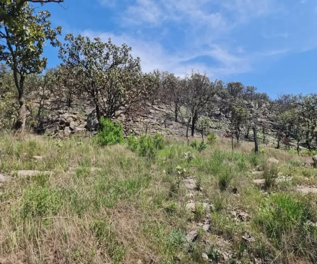 Terreno En Venta,CERRITO LOS PATIOS,LOS PATIOS LOTE 3, Zapopan, Jalisco 45200,LOS PATIOS,pKFStEu