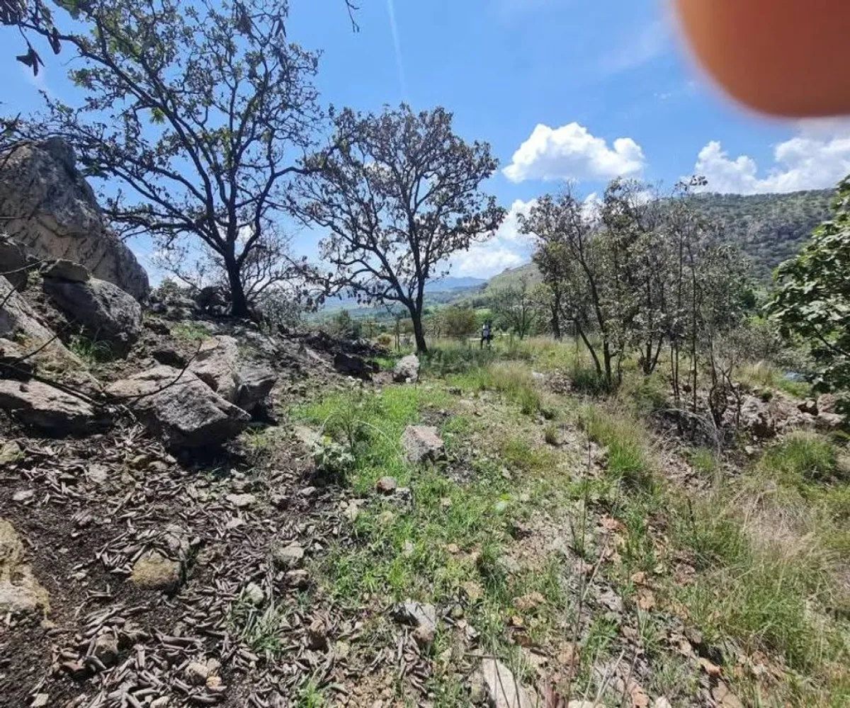 Terreno En Venta,CERRITO LOS PATIOS,LOS PATIOS LOTE 3, Zapopan, Jalisco 45200,LOS PATIOS,pKFStEu