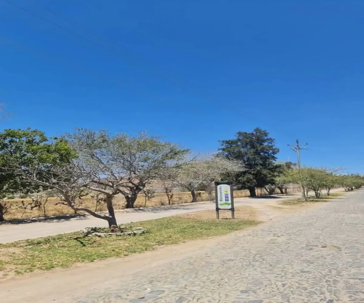 Terreno En Venta,CERRITO LOS PATIOS,LOS PATIOS LOTE 3, Zapopan, Jalisco 45200,LOS PATIOS,pKFStEu