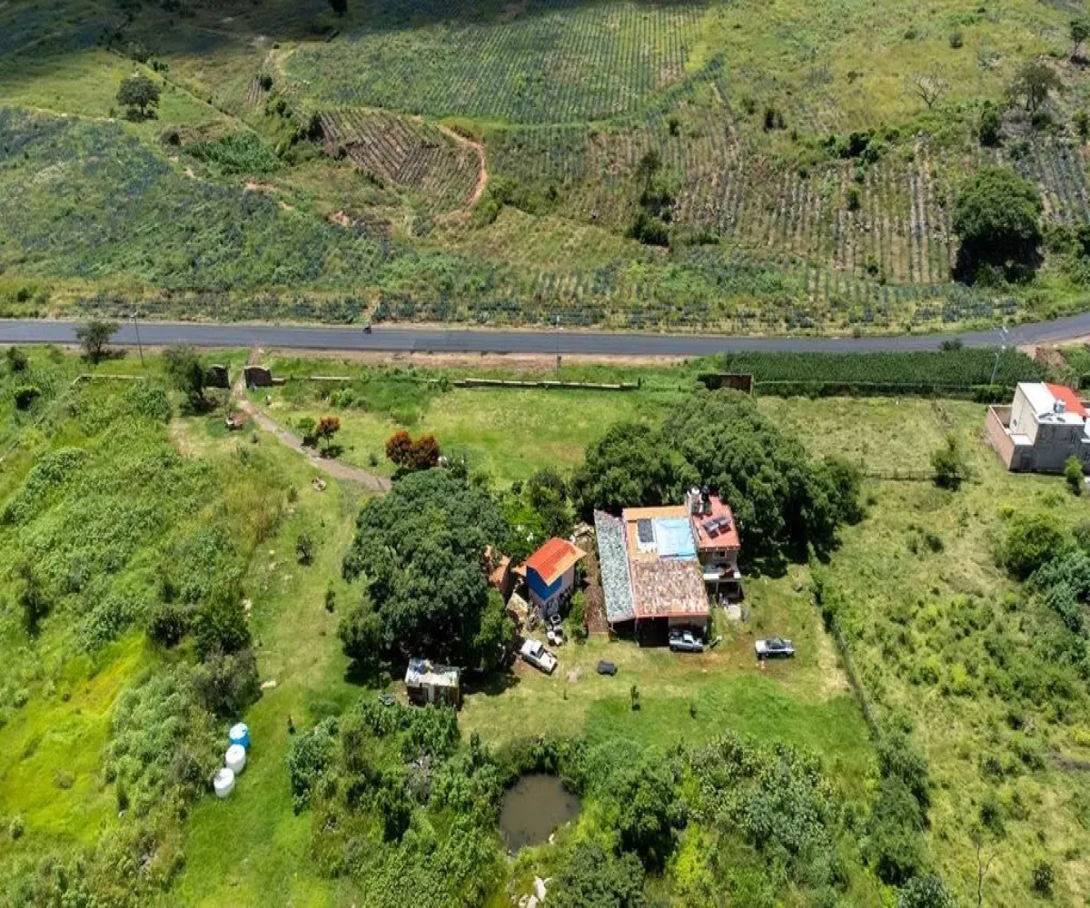 Terreno En Venta,la purisima S/N, Zapotlanejo, Jalisco 45430,la purisima ,pTEh80f
