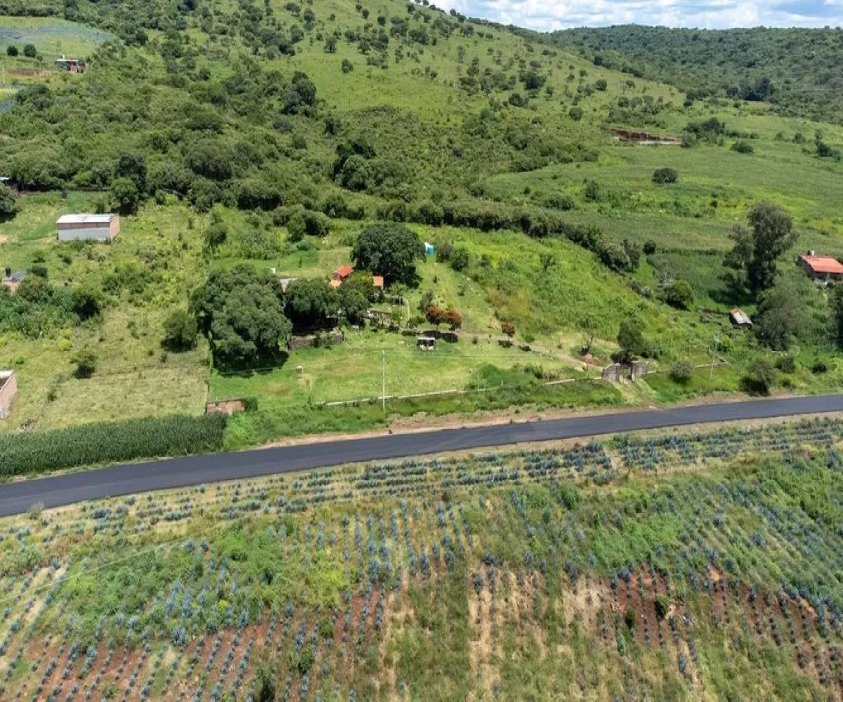 Terreno En Venta,la purisima S/N, Zapotlanejo, Jalisco 45430,la purisima ,pTEh80f