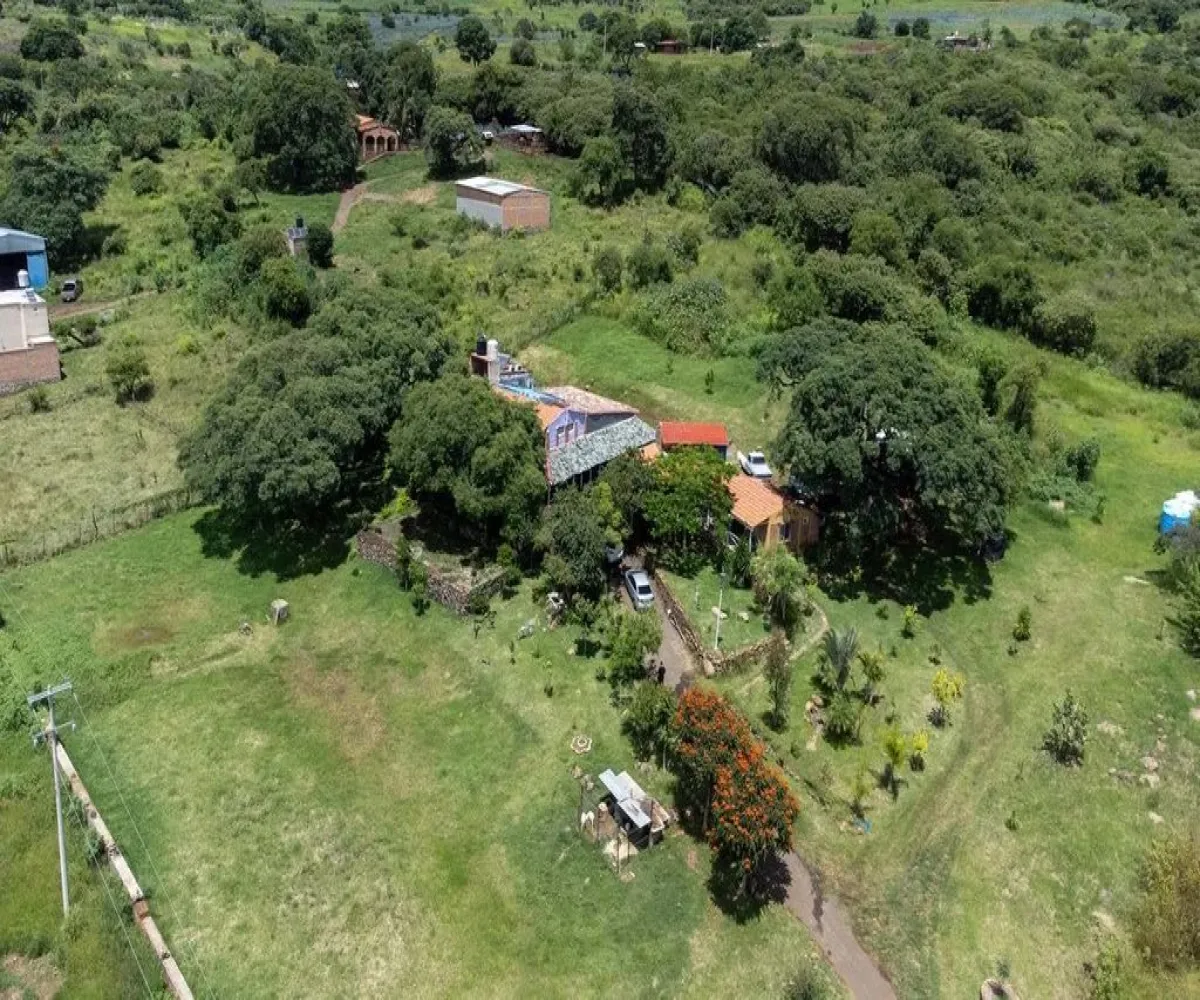 Terreno En Venta,la purisima S/N, Zapotlanejo, Jalisco 45430,la purisima ,pTEh80f