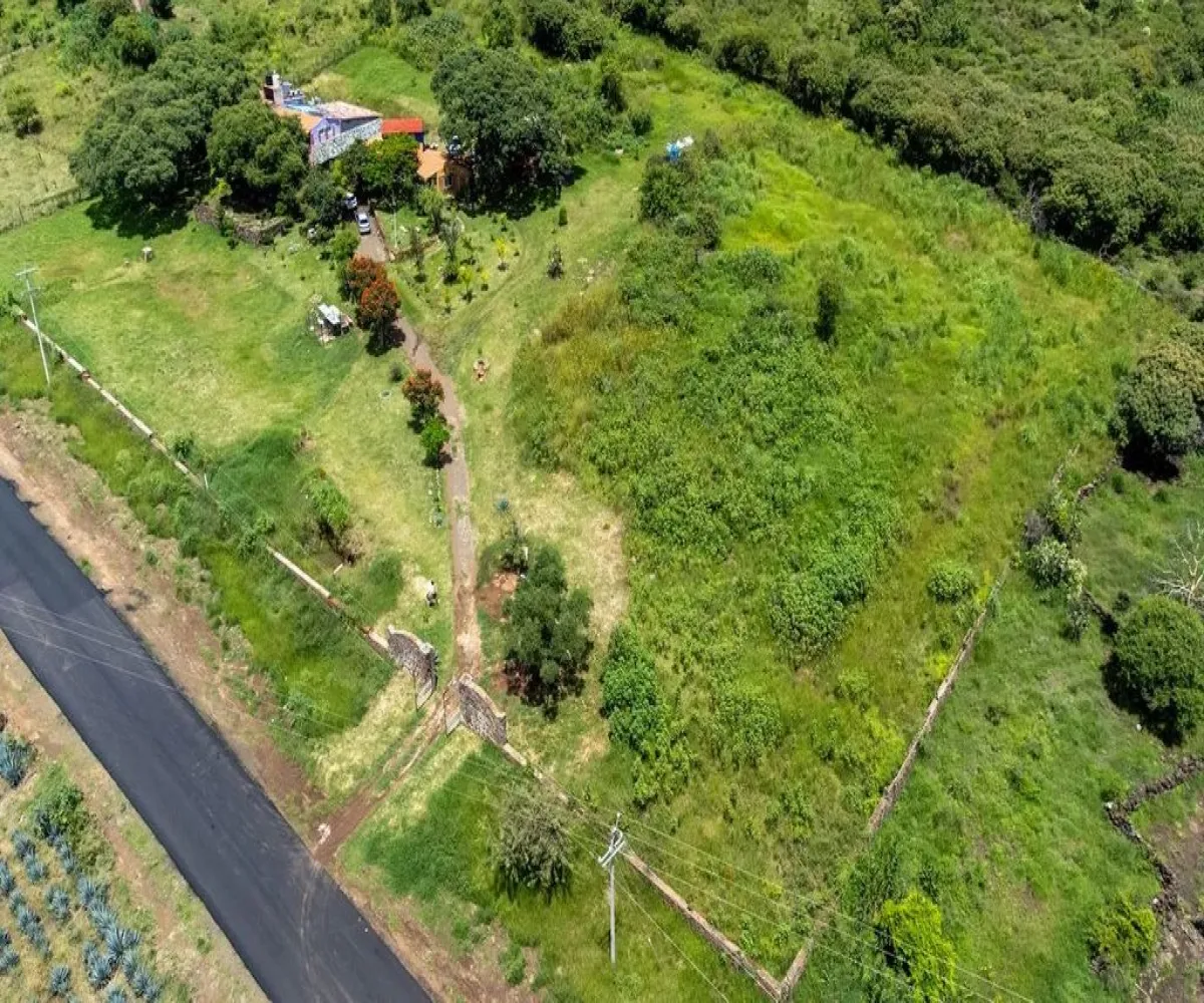 Terreno En Venta,la purisima S/N, Zapotlanejo, Jalisco 45430,la purisima ,pTEh80f