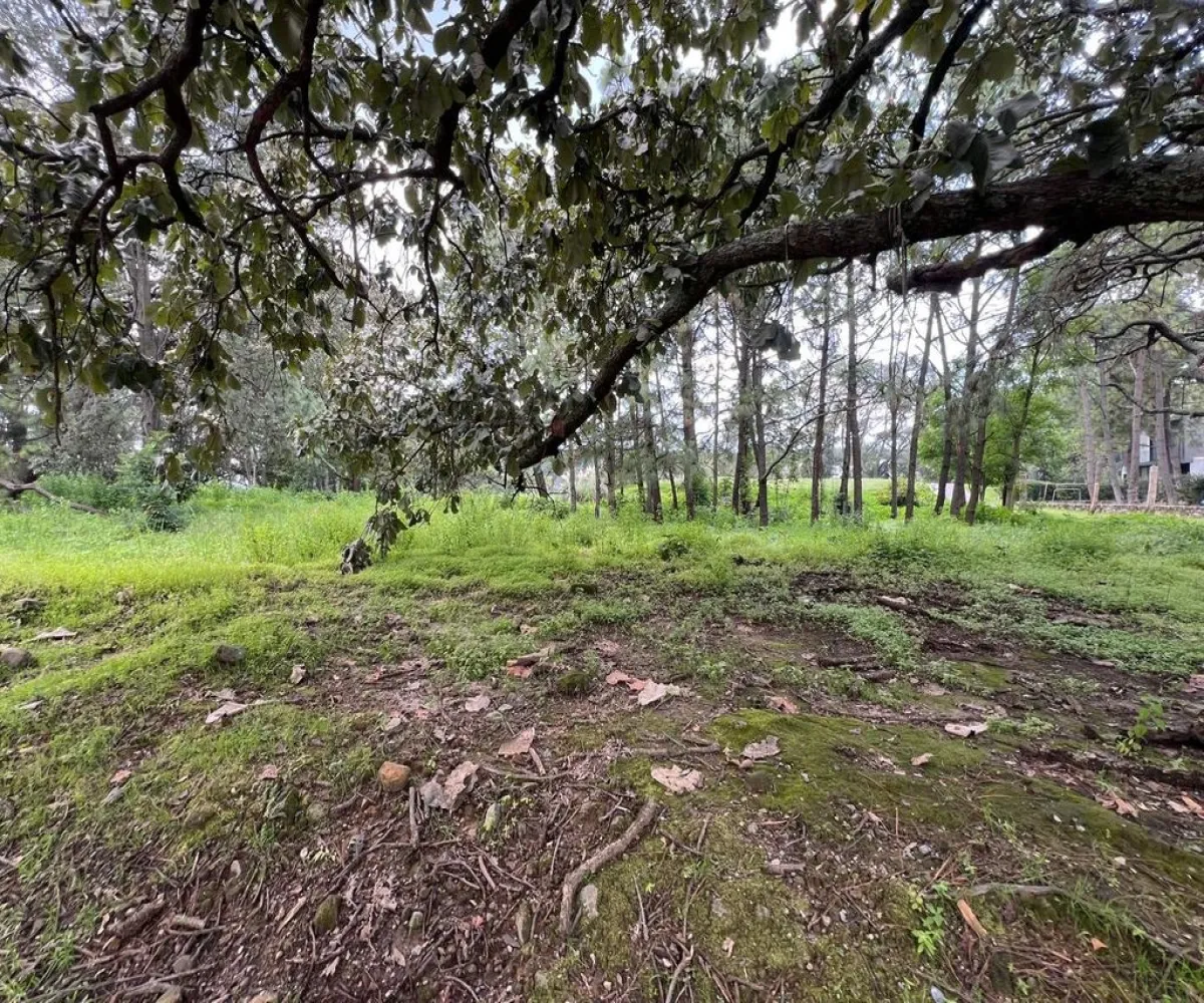 Terreno En Venta,Country Club,Bosque de los lagos lote 20 1, Guadalajara, Jalisco 45640,Bosque de los lagos,pQLwREf